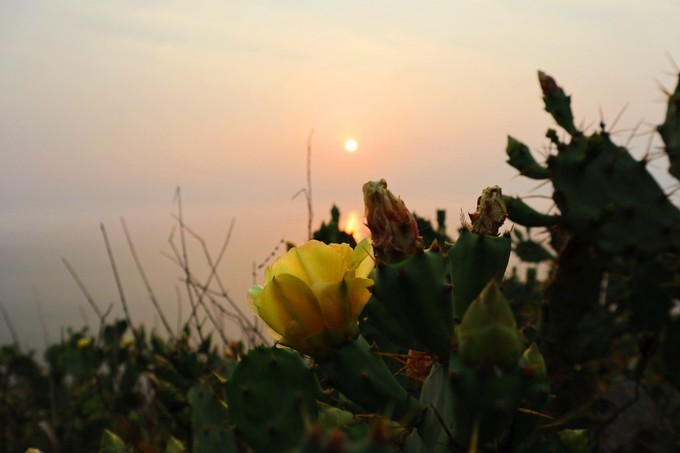 如约而至的涠洲岛,涠洲岛一生所爱