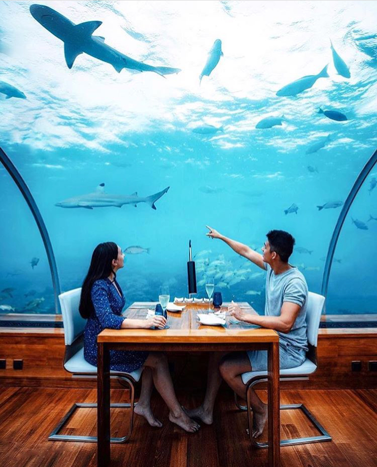 马尔代夫法式水上餐厅,马尔代夫海底餐厅视频