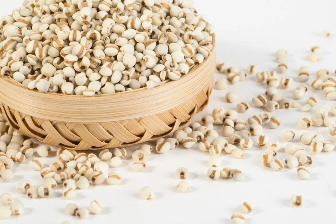 湿困症吃什么中成药,湿困怎么治