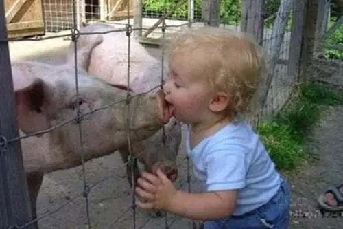 孩子太干净会得病,孩子太干净致癌