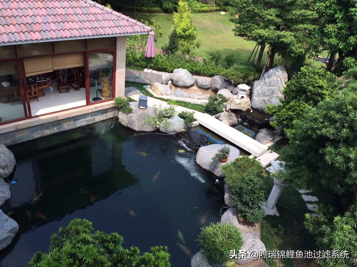 锦鲤鱼池清洗过滤的正确方法,清洗锦鲤池滤材