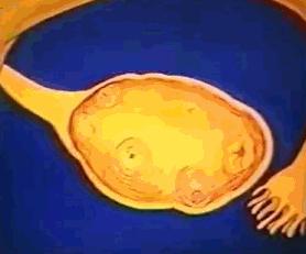 女性体内的神秘“暗线”：竟能支配月经