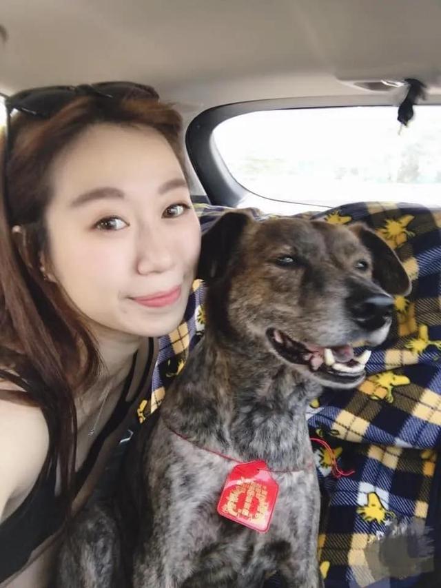 狗狗癌症晚期症状及治疗,狗狗癌症主人选择安乐死