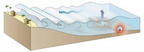 海啸逃生技巧视频教程,海啸来袭的保命指南