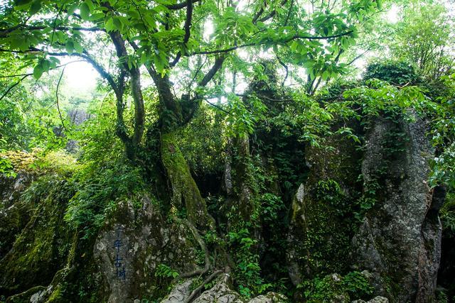 小平故里广安风景,小平故里到华蓥山有多远