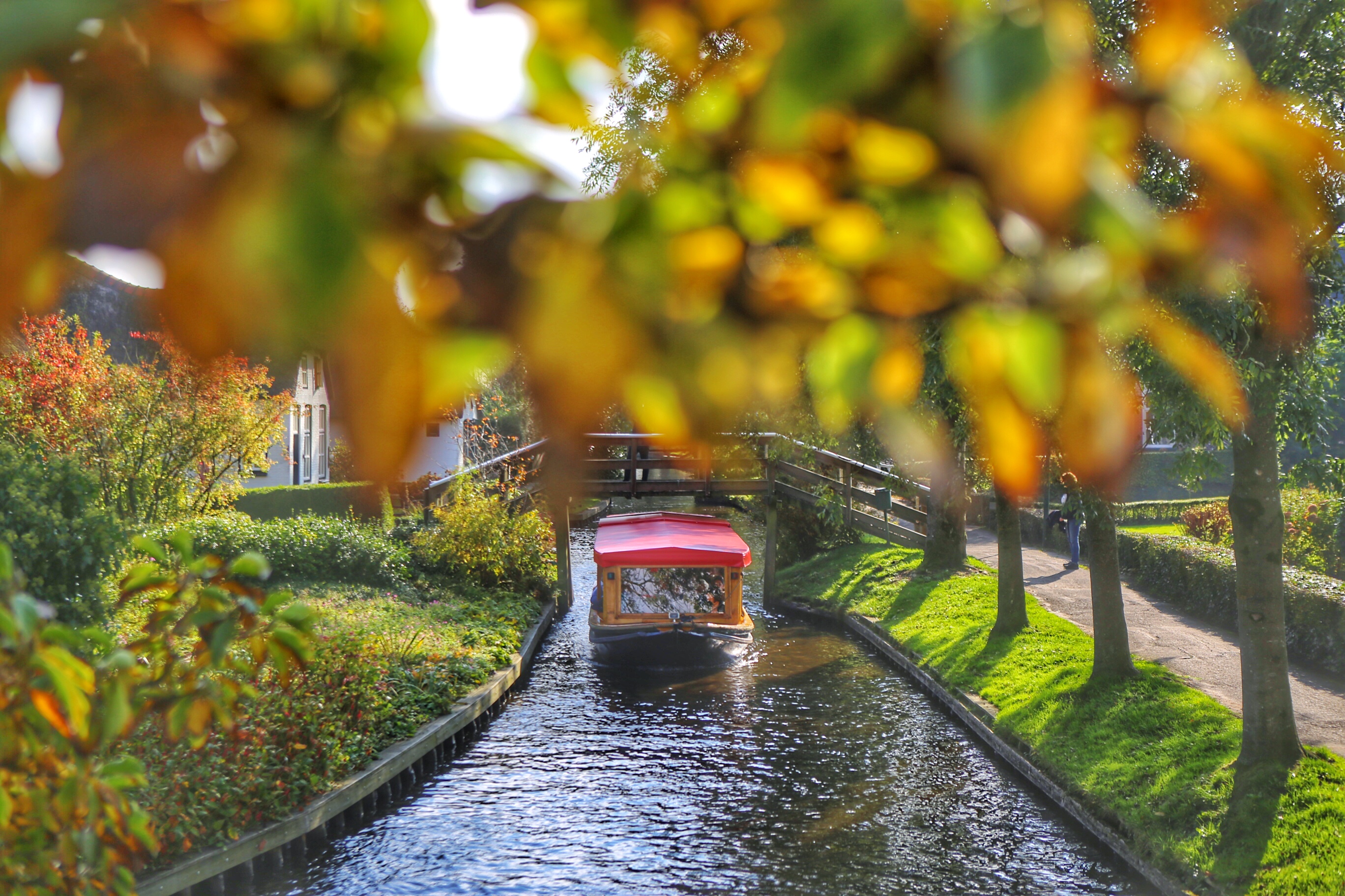 荷兰为什么是农业大国,为什么说荷兰是个开放的国家