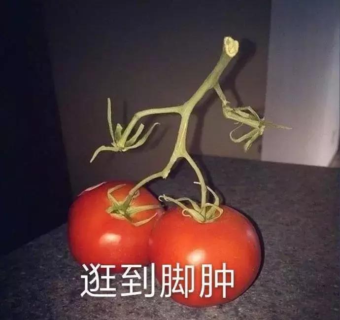 蹦迪摇头表情动图,斗图表情包聊天必备表情包