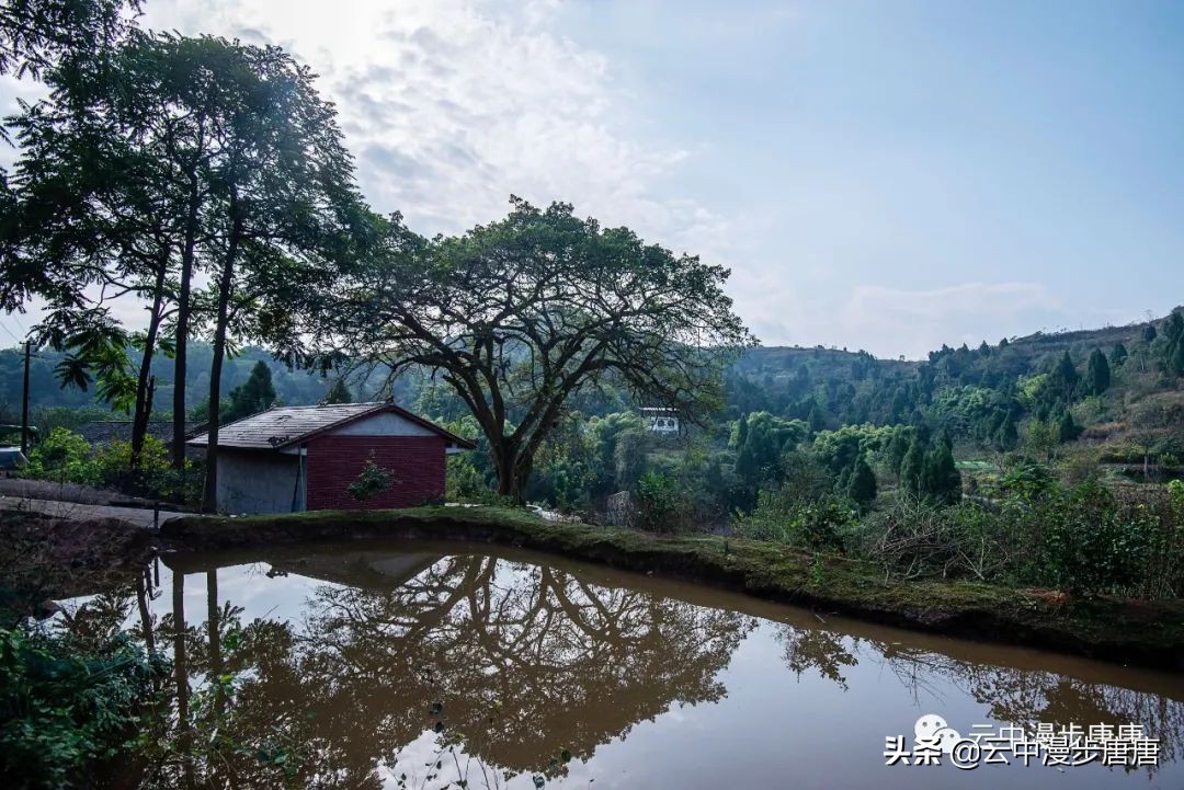 行走的风景岳池,行走的“风景”