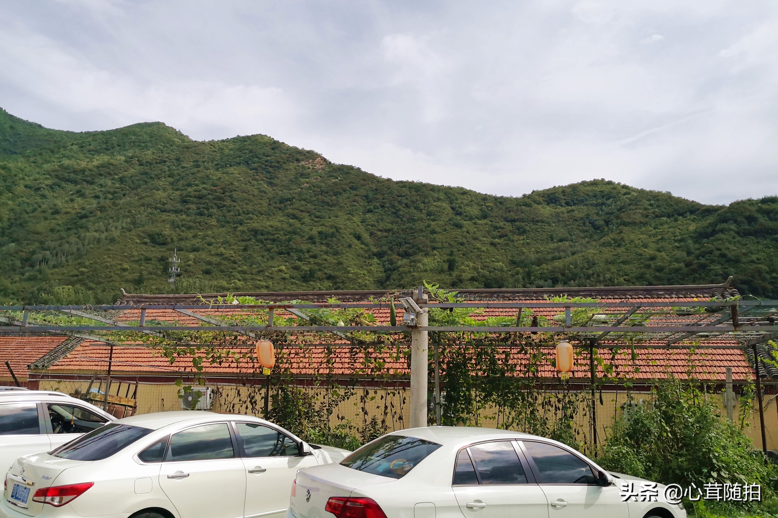 自驾白河湾,白河湾自然风景区自驾