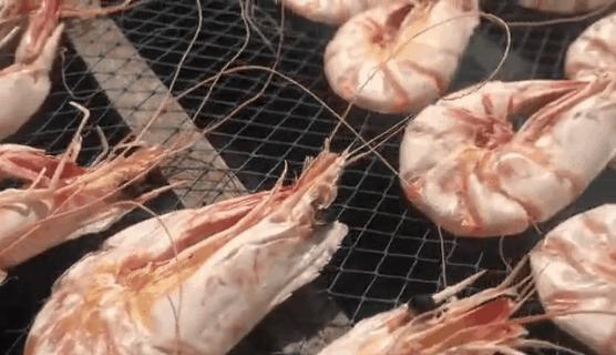 温补肾阳补肾固精吃什么,温肾固精的食品