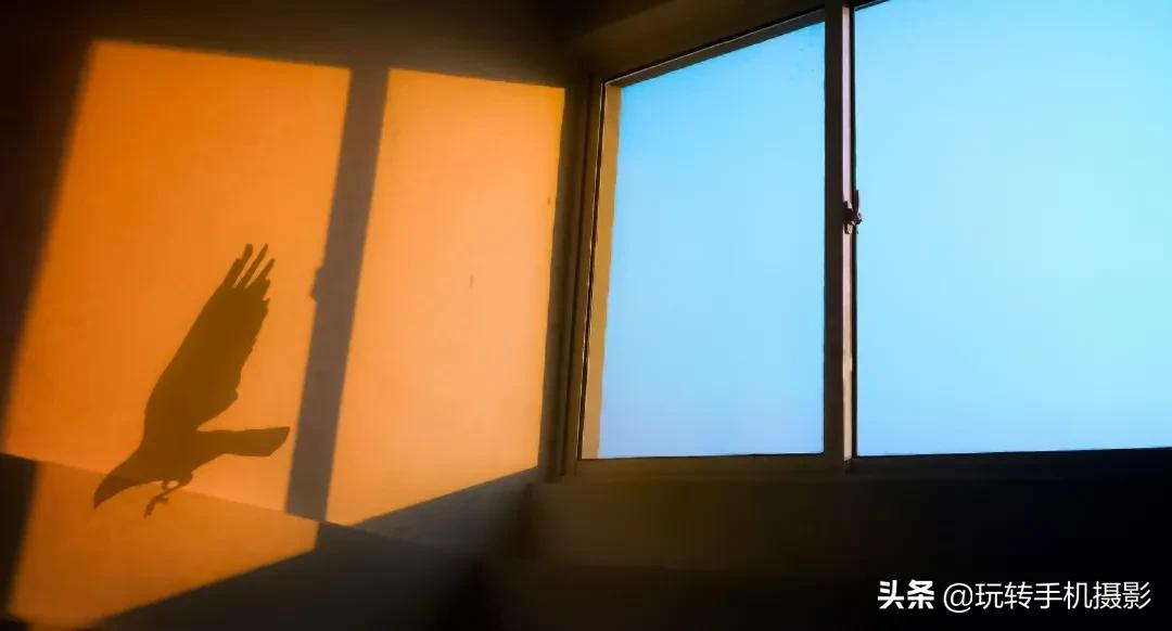 手机摄影有哪些魅力和意义,手机摄影为什么很受欢迎