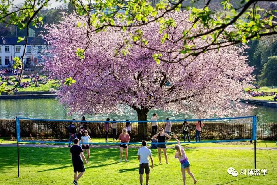 在英成长那些事|疫情下，从高中到大学的过渡