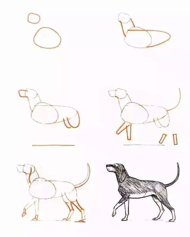 你想要的简笔画教程,一学就会的简笔画教程