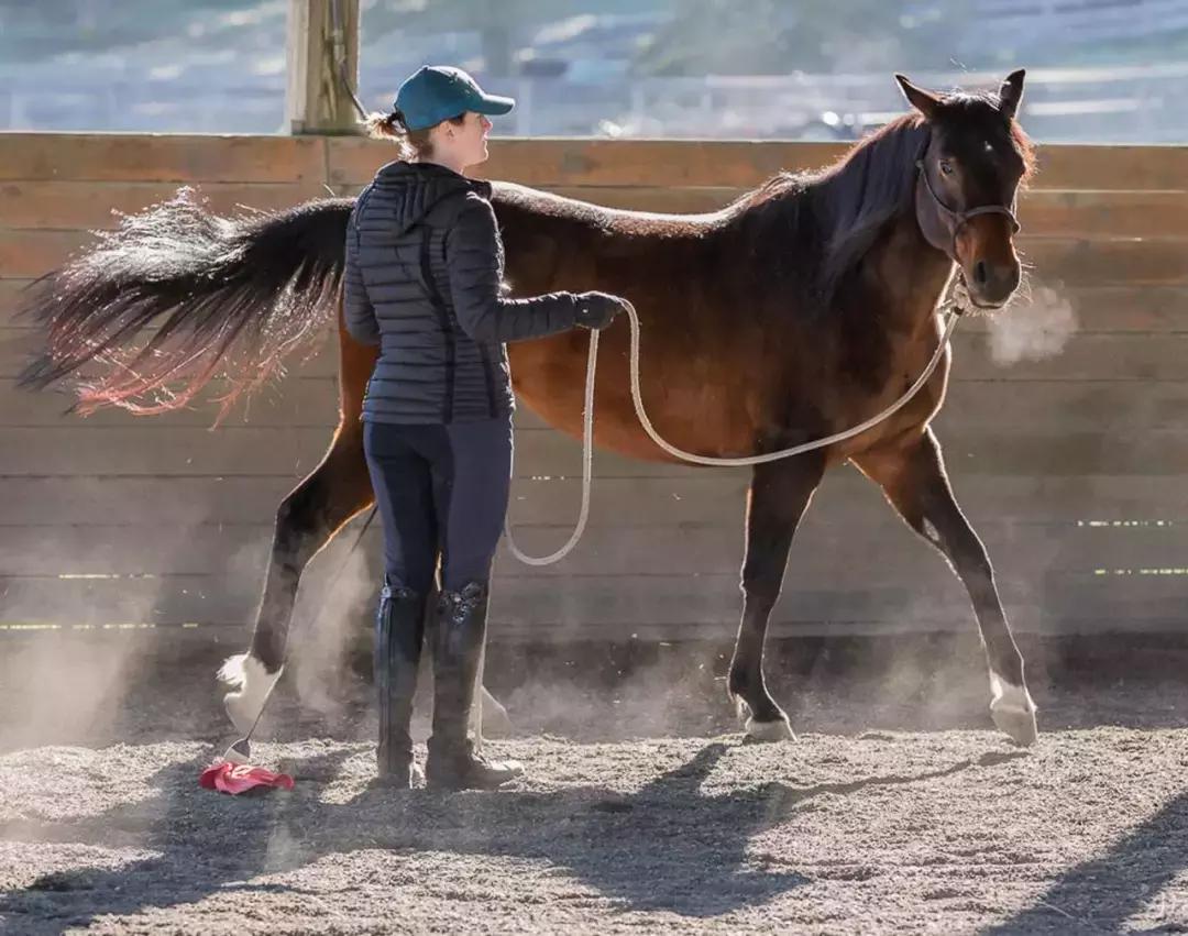 三分钟一字马教程,两小时驯马的全过程