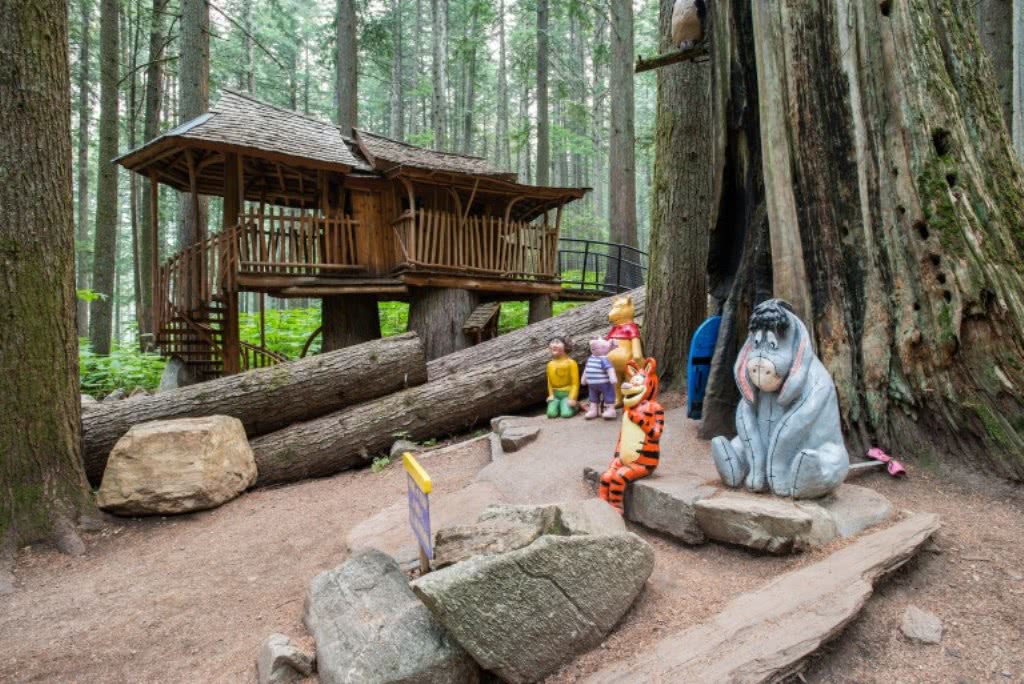 加拿大童话梦想！隐藏八百年前森林中，百万游客，老板：我不玩了