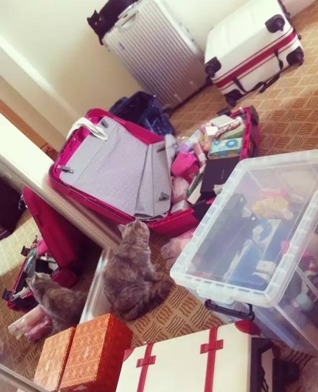 刘亦菲洗脸方法去闭口,刘亦菲推荐护肤水是什么