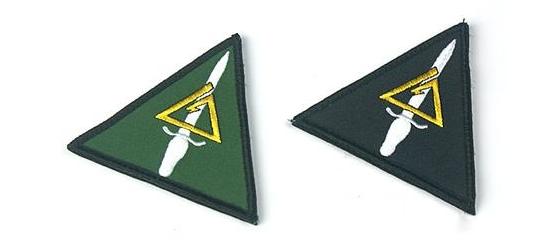 三角洲部队游戏fps,三角洲fps游戏巅峰状态