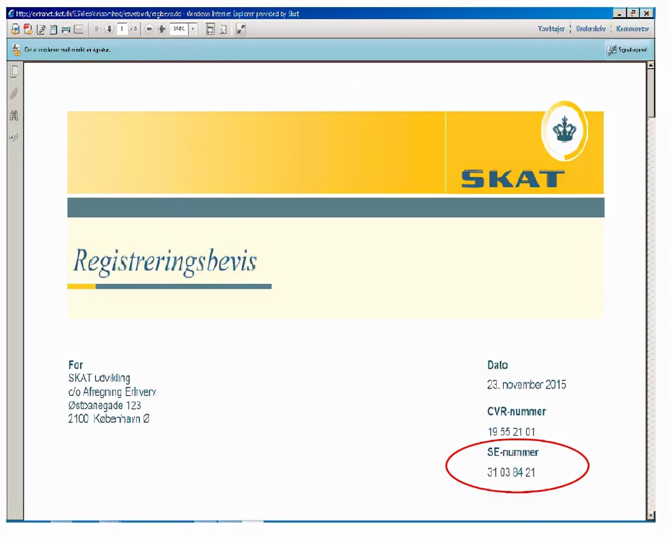 加拿大纳税人识别号规则,各国税收身份认定