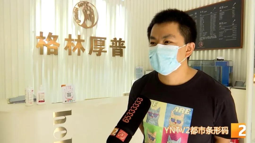 八旬老人被狗绳绊倒身亡如何避免,老人被狗绳绊倒是什么狗