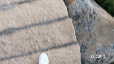 东澳岛森野露营地,珠海横琴岛露营攻略