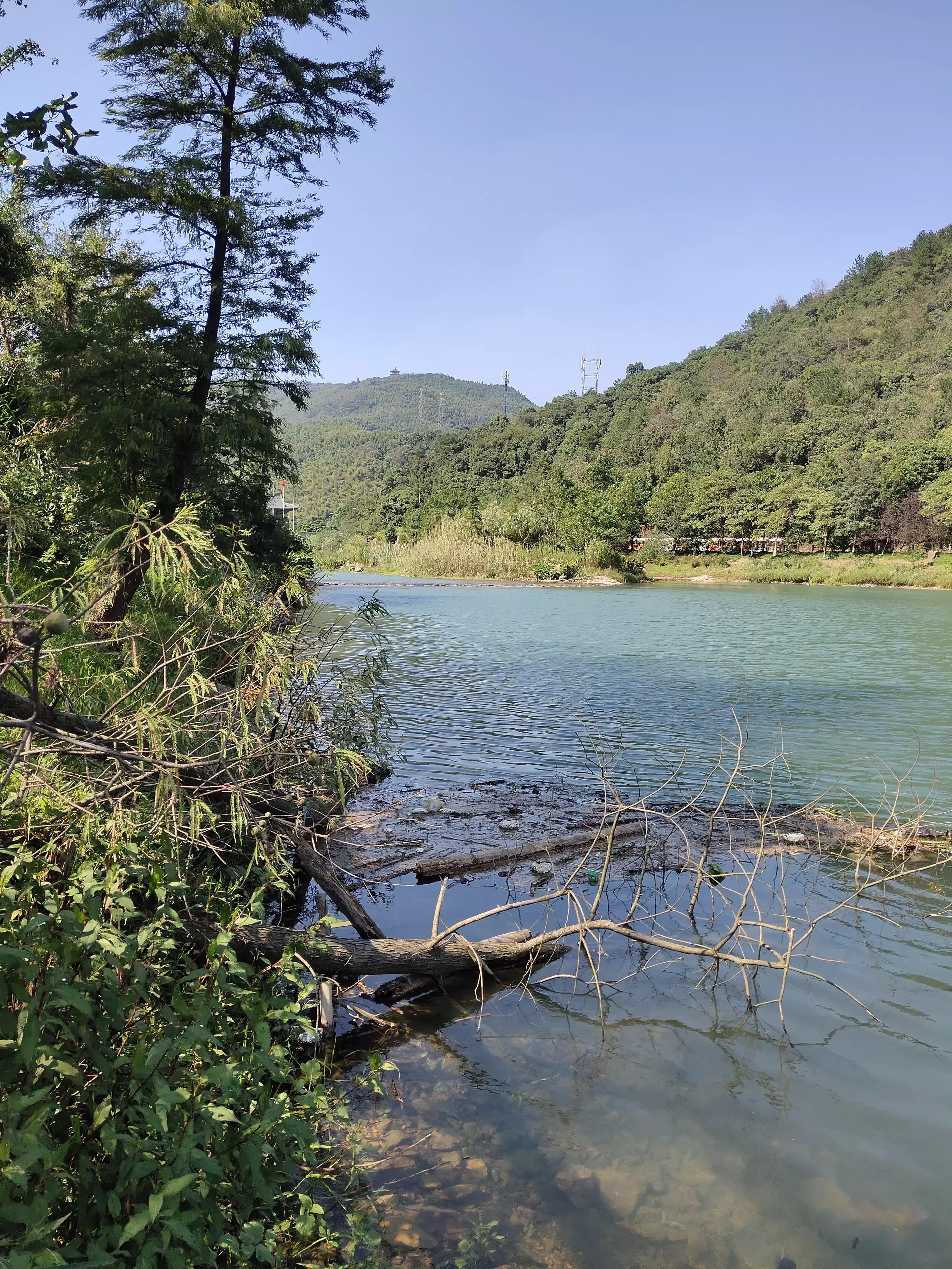 宁波镇海钓鱼野钓最新地点,宁波九龙湖水库钓鱼攻略