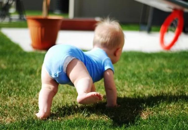 对儿童爬行方面的问题及建议,孩子爬行的十大问题