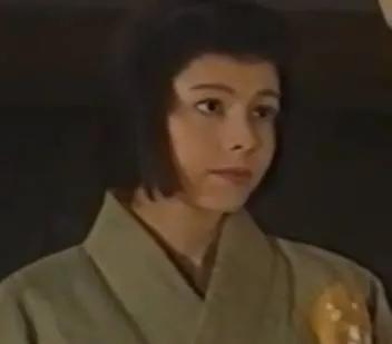 丰臣秀吉的智囊,丰臣秀吉之妻宁宁