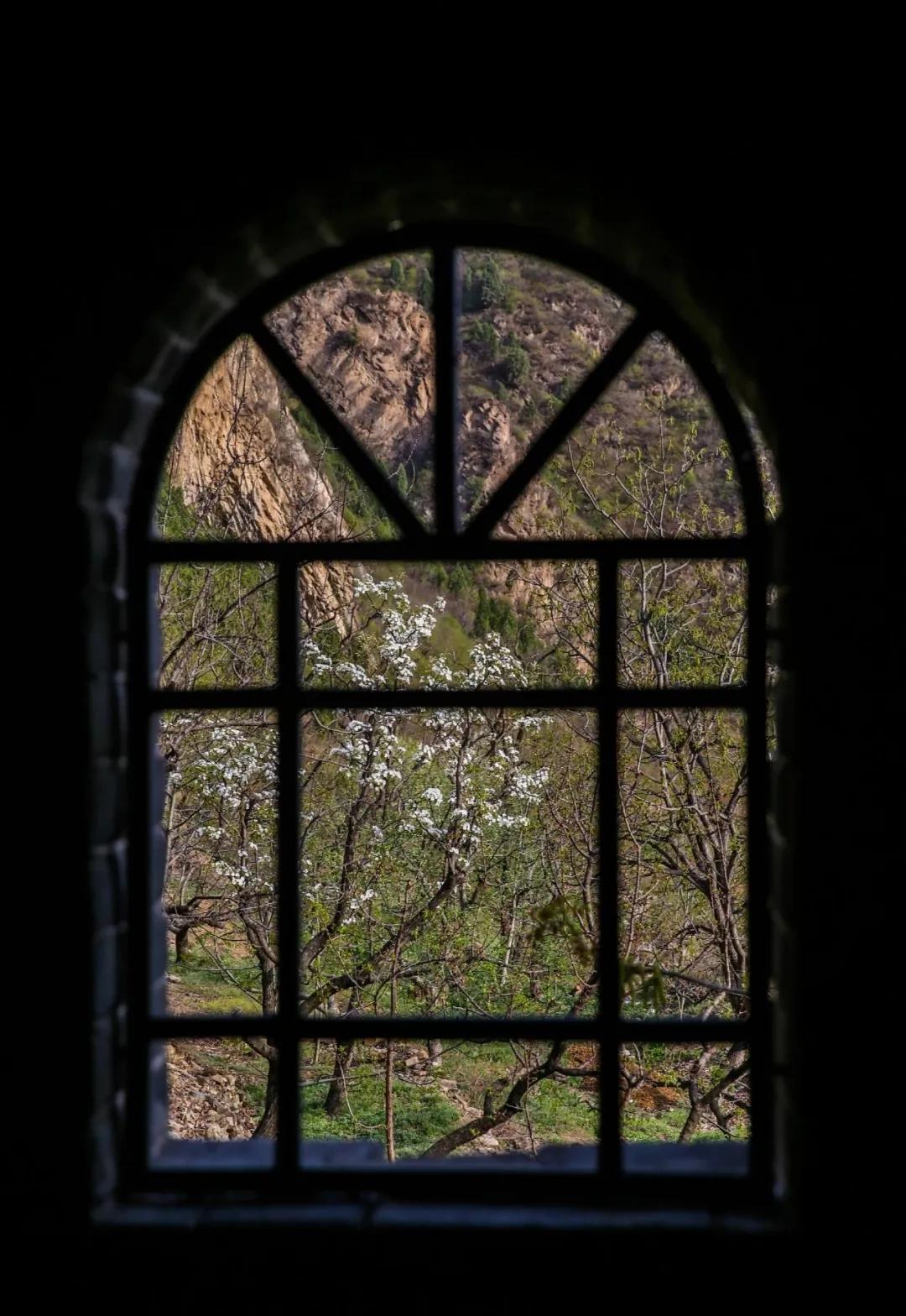 一个不出郑州的踏青好去处,天津春游公园推荐