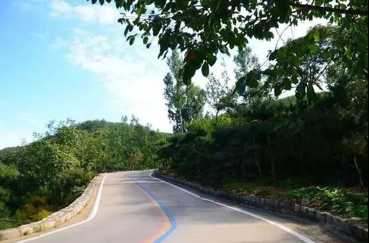 住在春天民宿,住在春天里这些民宿快收藏