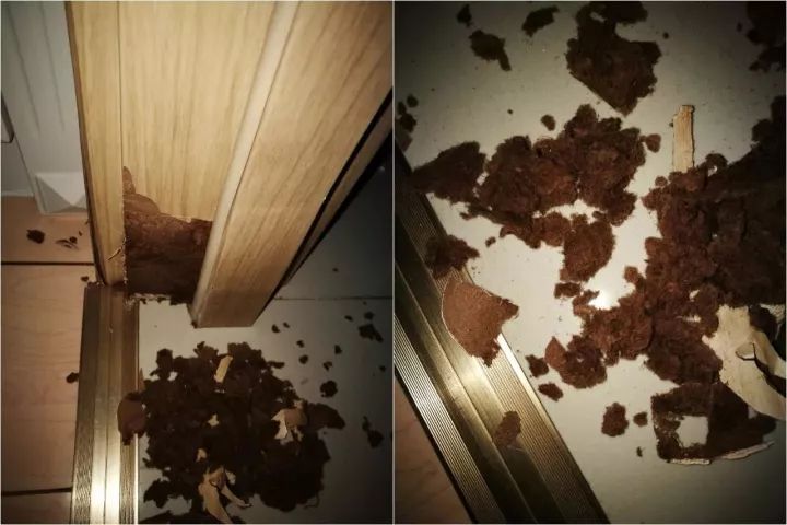 样板房装修比房子贵,样板房和新房价格一样