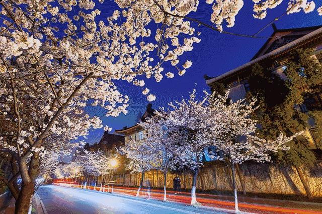 台湾学生拍电影,台湾mycity