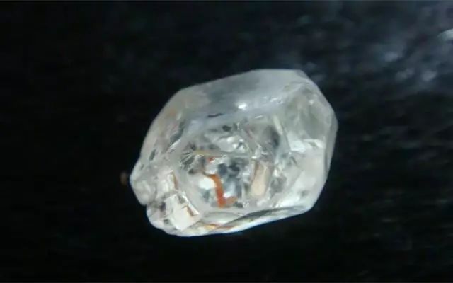 横行全球的百年*局骗**栽了，中科院卖成“白菜价”