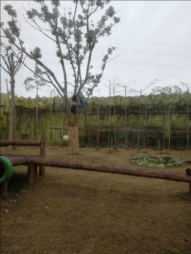 南京江宁区紫清湖温泉度假酒店,南京江宁紫清湖温泉度假村