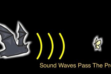 蚊子灭蚊神曲,驱蚊神曲2首