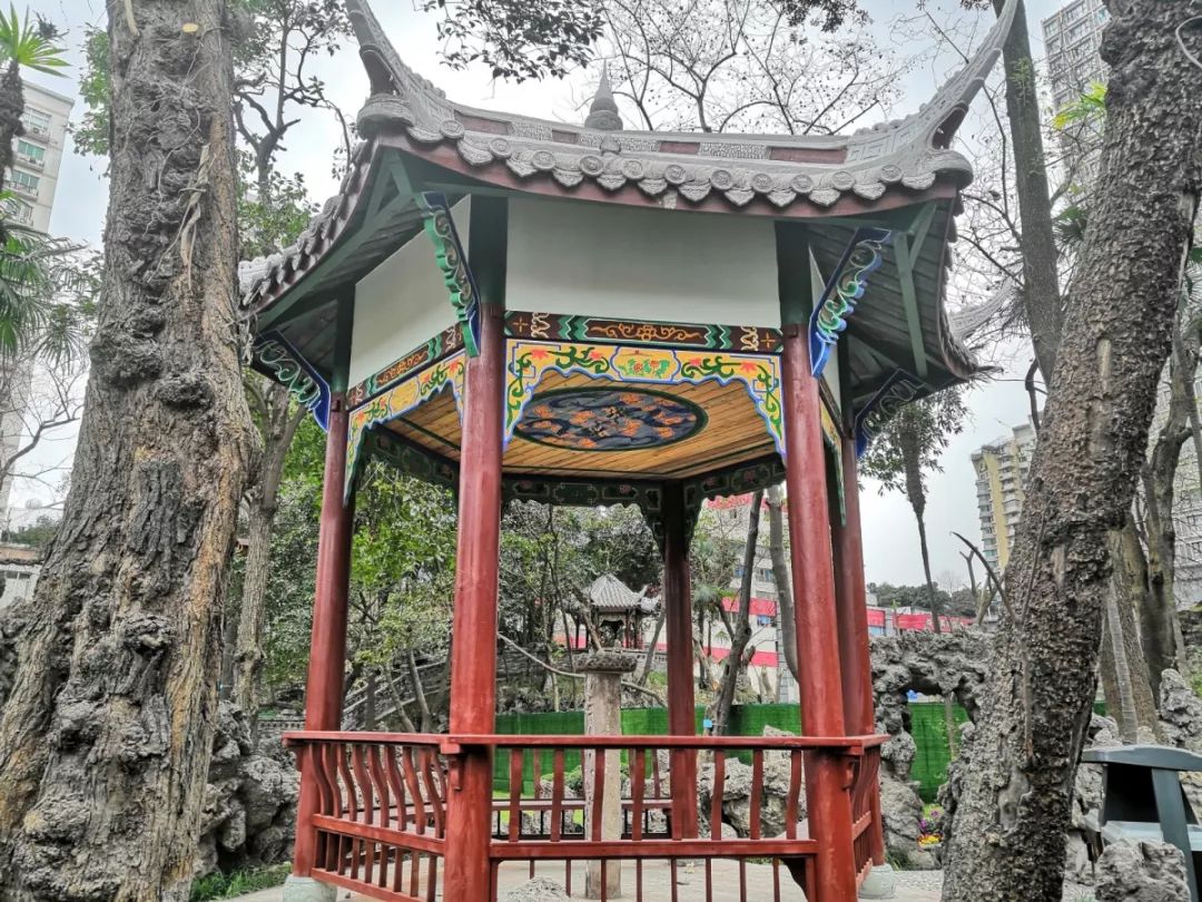 成都新增2个公园,成都到处都是公园城市