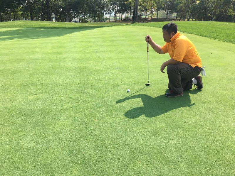 中国高尔夫球场的现状,中国高尔夫球场畸形发展