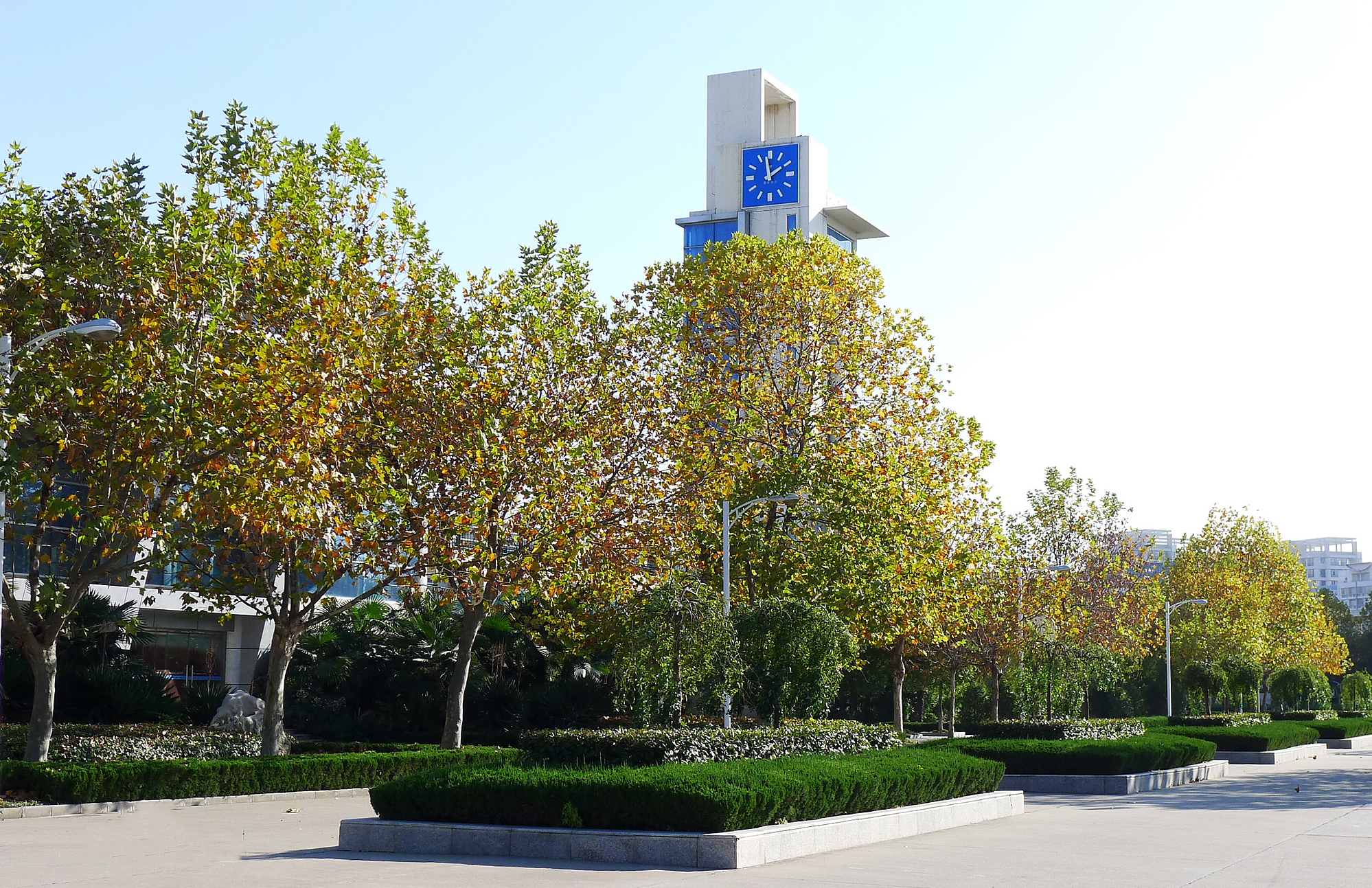 盐城中学高考状元2008,盐城高考最高成绩的人是谁