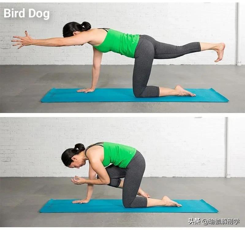 腰痛的原因及预防方法,腰痛的10个征兆图