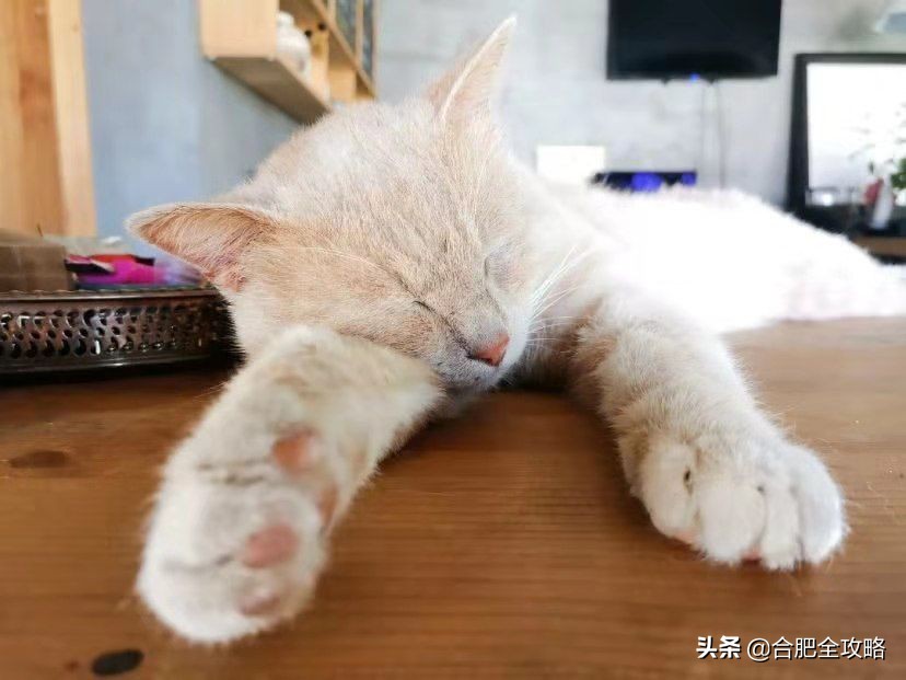 合肥有哪些好玩的地方值得一去,本地人认为合肥最值得游玩的地方