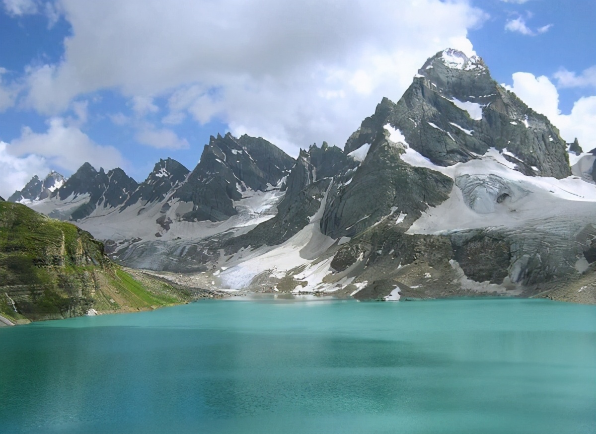 前面抱人，后面背鹿，这只虎是在干嘛呢？