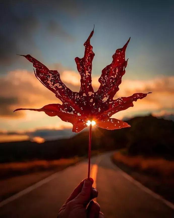 1999最火的歌,盘点那些2024年最火爆的歌