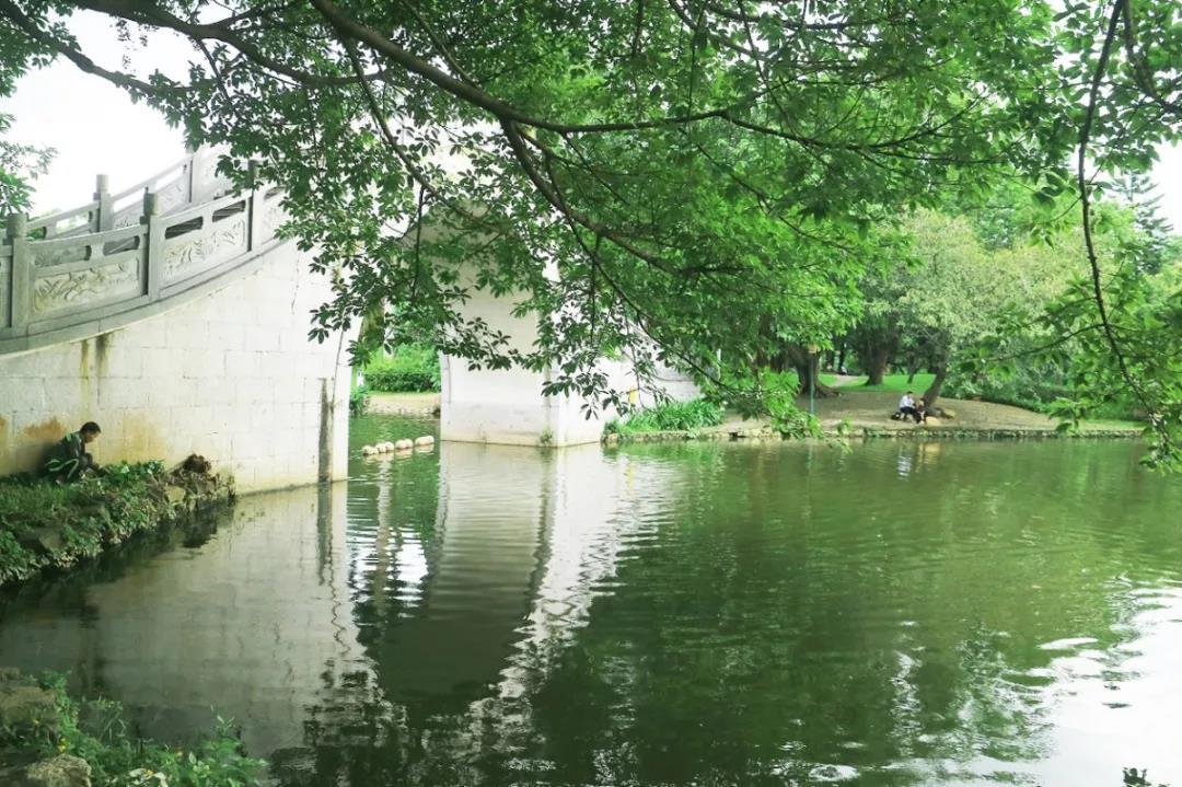 深圳遛娃必去景点免费过年,深圳适合儿童游玩的公园