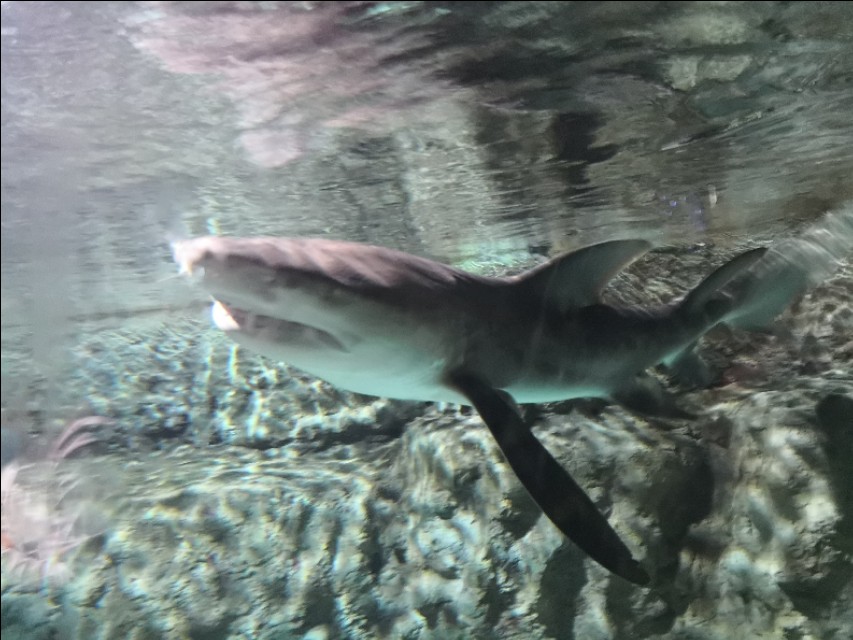 北京工体富国海底世界周一营业,北京工体富国海底世界旅馆