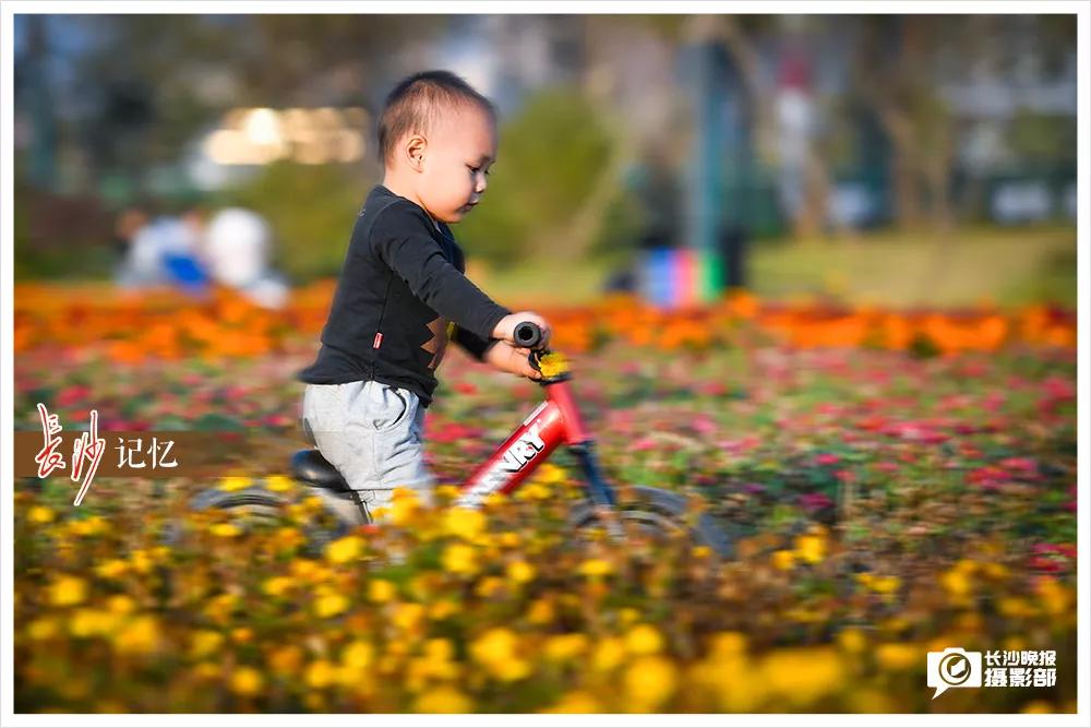长沙月亮岛最新效果图,长沙月亮岛鸟瞰图