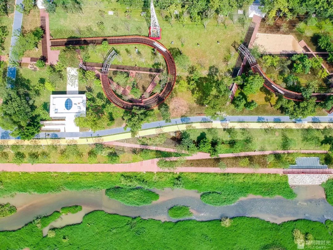 盼了1年！南山新地标“塞纳河”惊艳露面