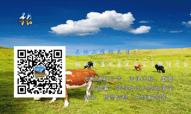 预防羊拉稀,养殖技能与指导