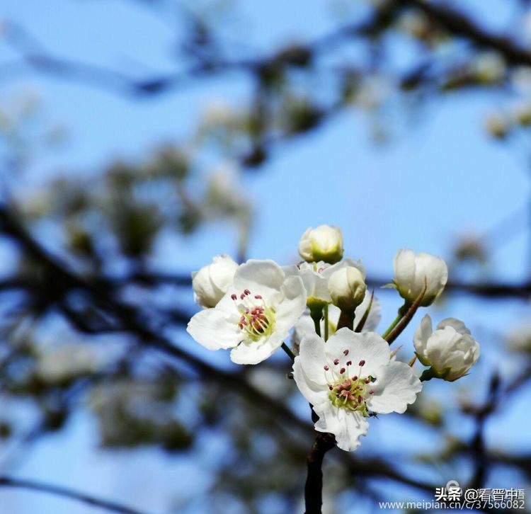 山西农大美丽的校园,山西农大校园风光