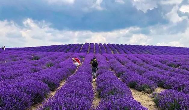 <html>
<head><title>502BadGateway</title></head>
<body>
<center><h1>502BadGateway</h1></center>
<hr><center>nginx</center>
</body>
</html>
<!--apaddingtodisableMSIEandChromefriendlyerrorpage-->
<!--apaddingtodisableMSIEandChromefriendlyerrorpage-->
<!--apaddingtodisableMSIEandChromefriendlyerrorpage-->
<!--apaddingtodisableMSIEandChromefriendlyerrorpage-->
<!--apaddingtodisableMSIEandChromefriendlyerrorpage-->
<!--apaddingtodisableMSIEandChromefriendlyerrorpage-->
