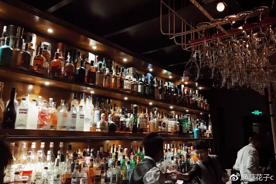 单身狗保护条例,单身狗防伤害地图指南