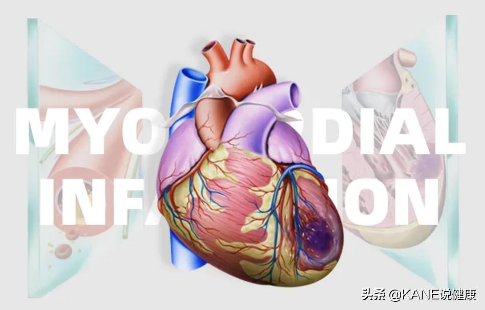 血液净化能控制血栓吗,血液净化真的能排油吗